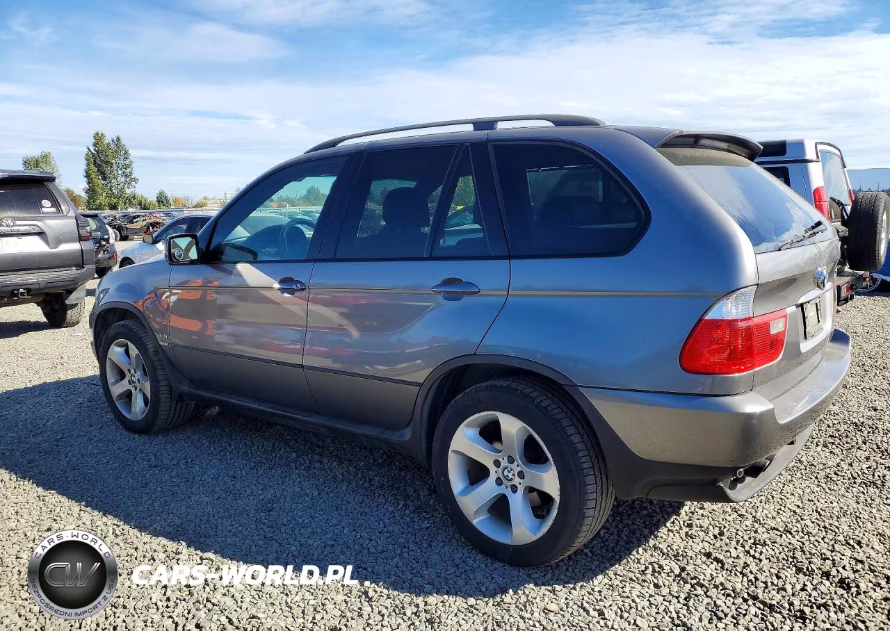 2004 BMW X5 4.4I VIN:5UXFB53504LV02485 - 2