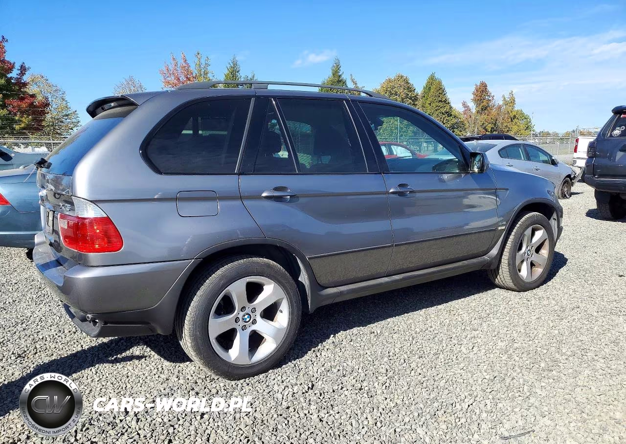 2004 BMW X5 4.4I VIN:5UXFB53504LV02485 - 3