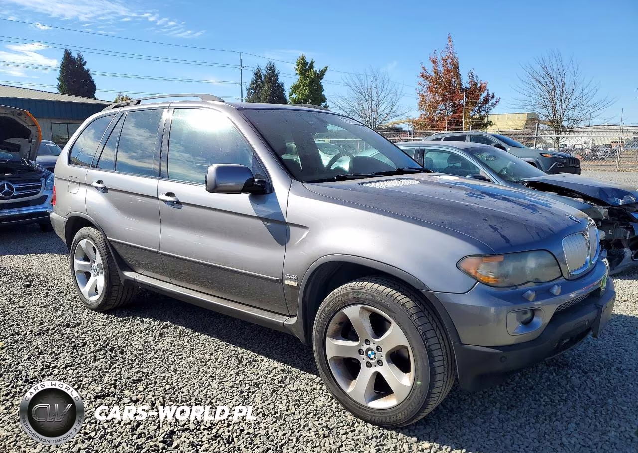 2004 BMW X5 4.4I VIN:5UXFB53504LV02485 - 4