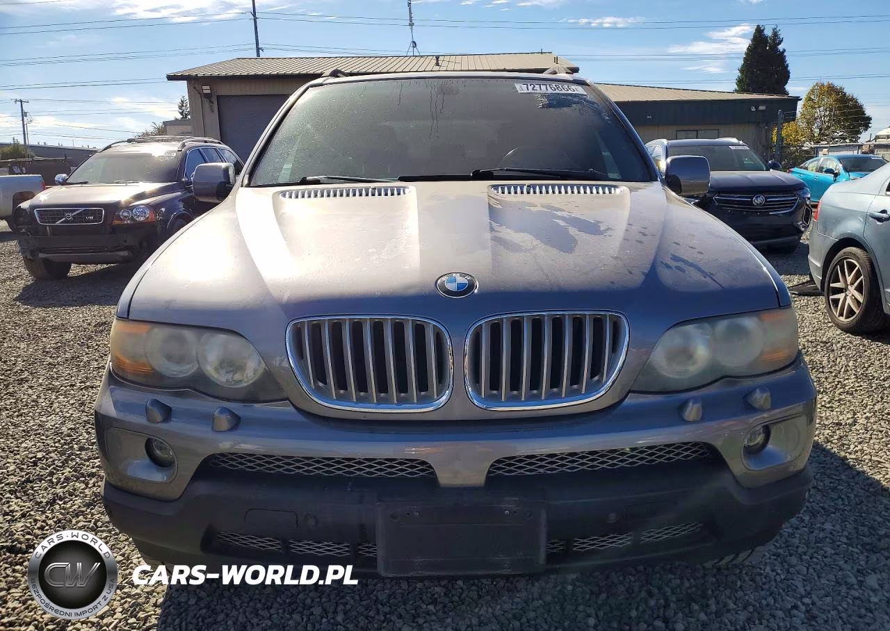 2004 BMW X5 4.4I VIN:5UXFB53504LV02485 - 5