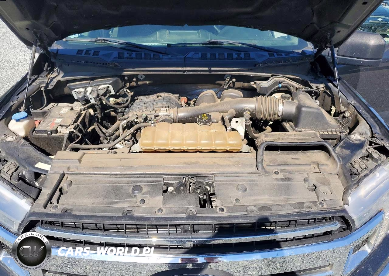 2020 Ford F150 Supercrew VIN:1FTEW1EB1LKD40786 - 11