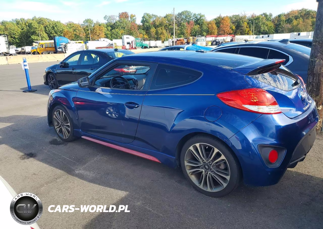 2017 Hyundai Veloster Turbo R-Spec VIN:KMHTC6AE3HU315697 - 2