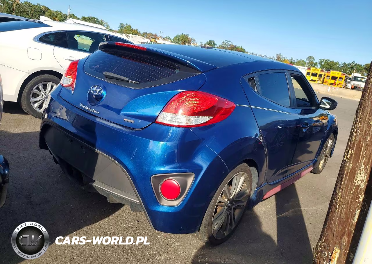 2017 Hyundai Veloster Turbo R-Spec VIN:KMHTC6AE3HU315697 - 3