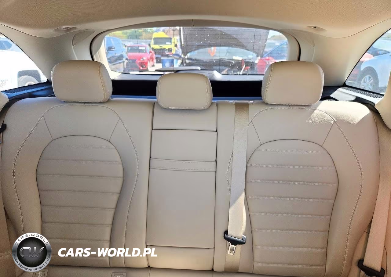 2020 Mercedes-Benz Glc 300 VIN:W1N0G8DB1LF849716 - 10