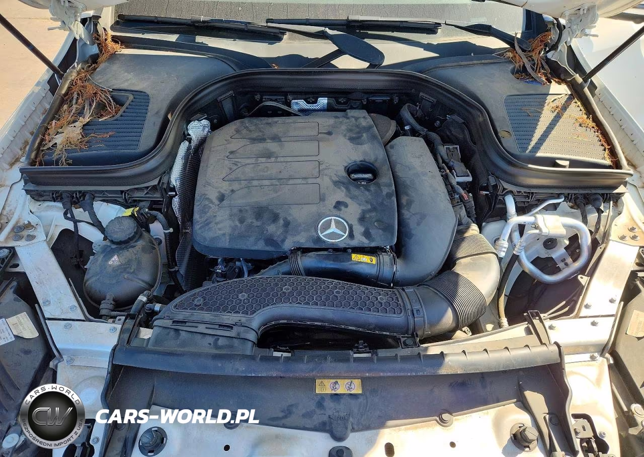 2020 Mercedes-Benz Glc 300 VIN:W1N0G8DB1LF849716 - 12