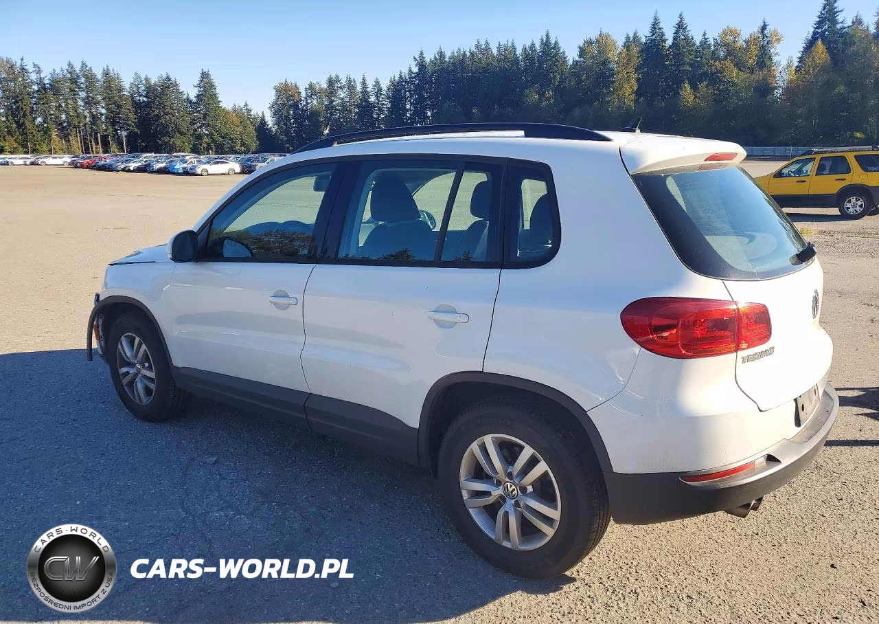 2016 Volkswagen Tiguan S VIN:WVGBV7AX5GW580668 - 2