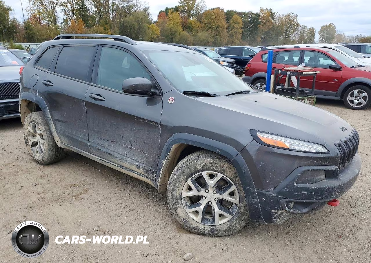 2014 Jeep Cherokee Trailhawk VIN:1C4PJMBS9EW137699 - 4