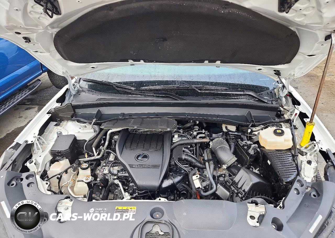 2026 Lexus Tx 500H F Sport Performance Luxury VIN:5TDABAB68TS024988 - 13