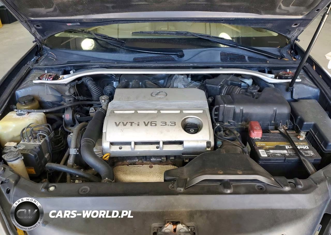 2004 Lexus Es 330 VIN:JTHBA30G145029535 - 11
