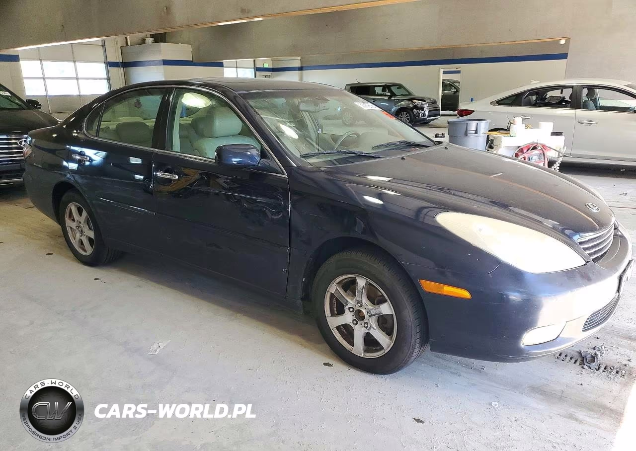 2004 Lexus Es 330 VIN:JTHBA30G145029535 - 4