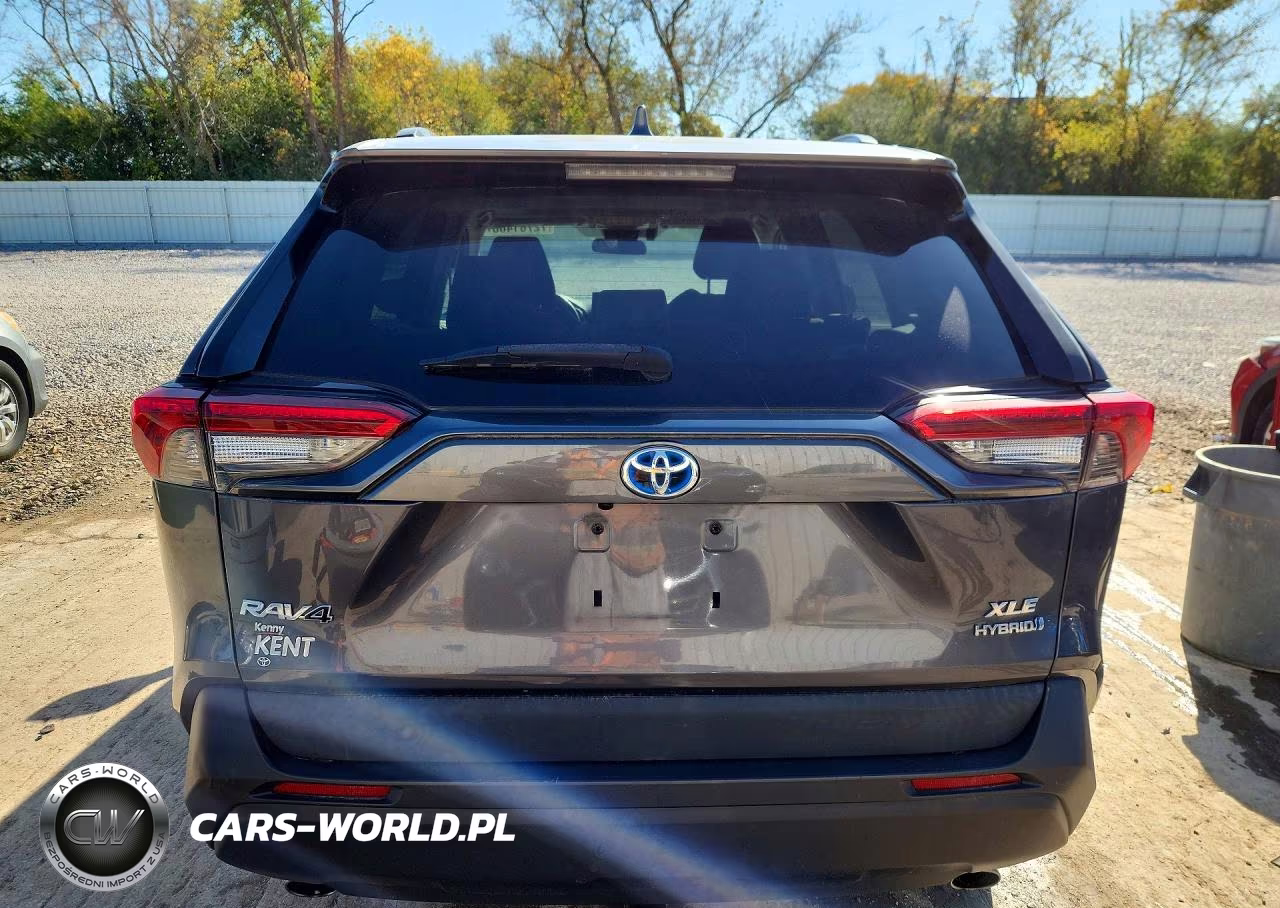 2019 Toyota Rav4 Hybrid Xle VIN:2T3RWRFV0KW027727 - 6