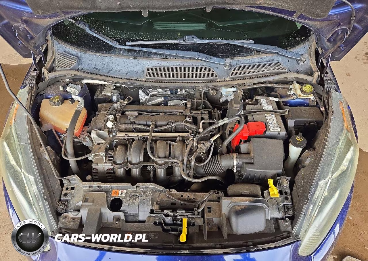 2016 Ford Fiesta Se VIN:3FADP4EJ8GM193520 - 11
