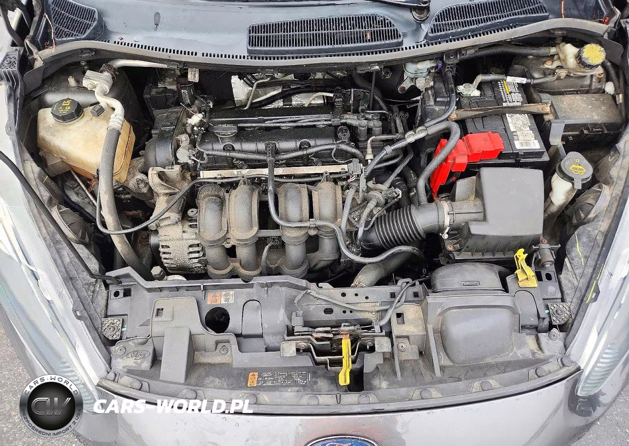 2016 Ford Fiesta Se VIN:3FADP4EJ3GM118983 - 11