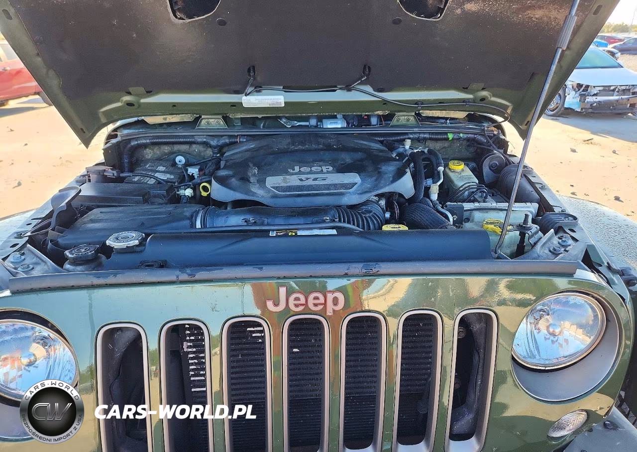 2016 Jeep Wrangler Unlimited Sahara VIN:1C4BJWEGXGL310891 - 11