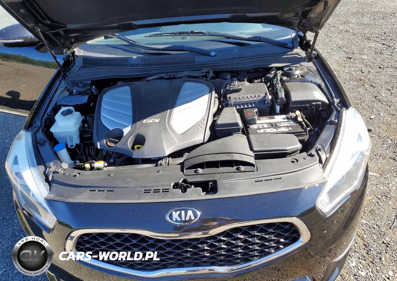 2014 Kia Cadenza Premium VIN:KNALN4D71E5134438 - 11
