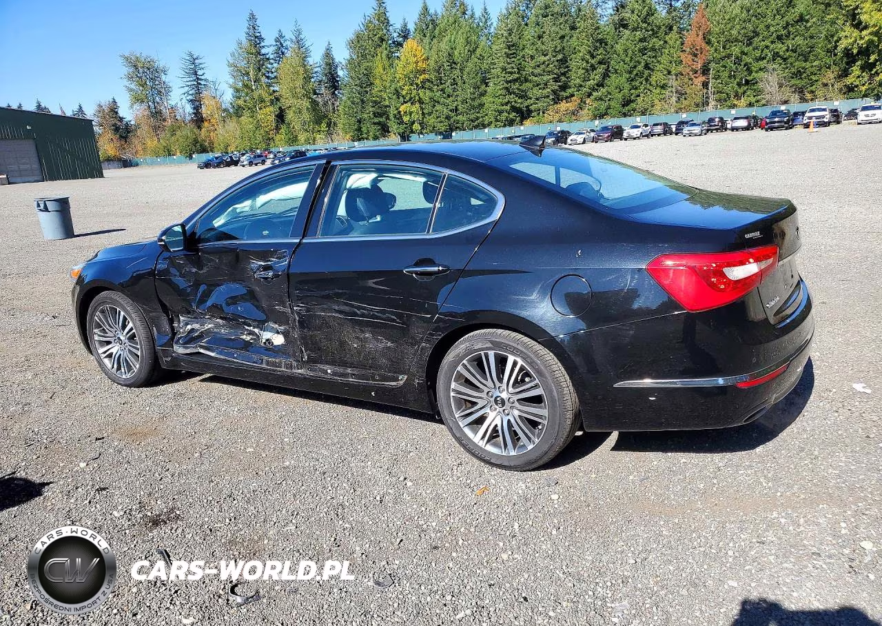 2014 Kia Cadenza Premium VIN:KNALN4D71E5134438 - 2