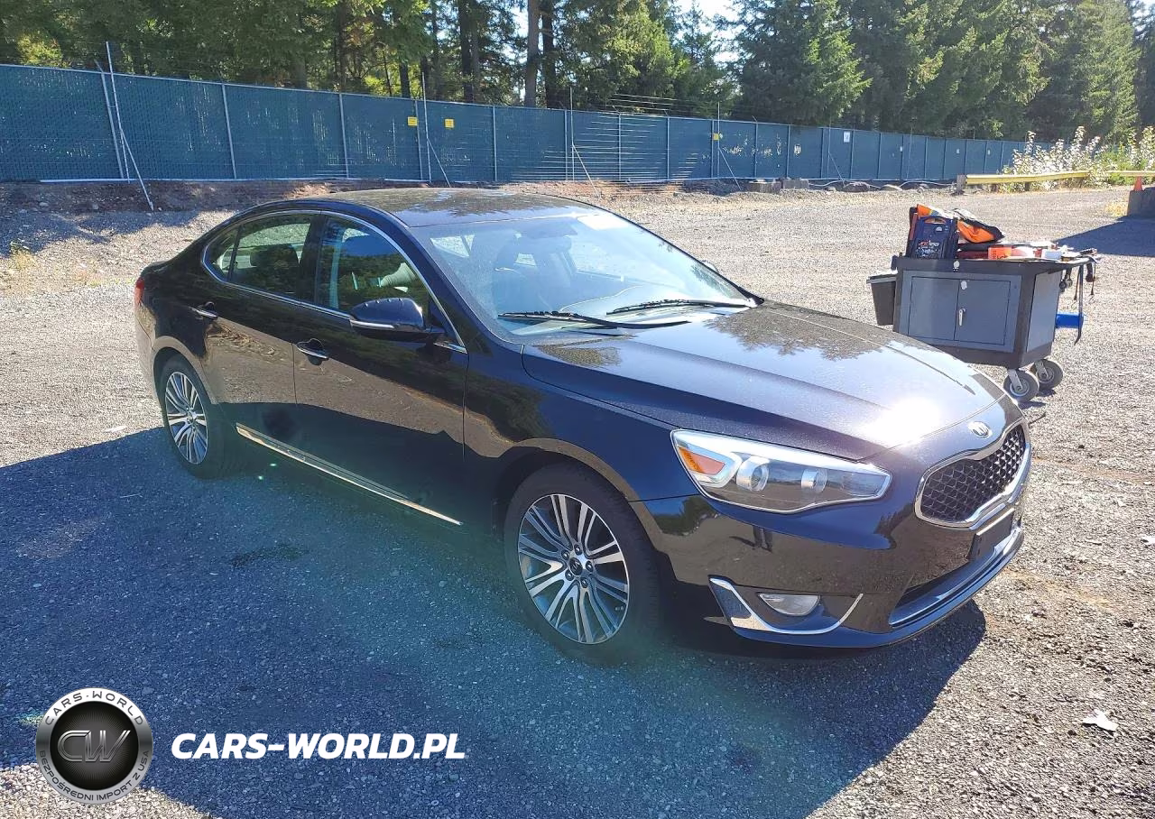 2014 Kia Cadenza Premium VIN:KNALN4D71E5134438 - 4