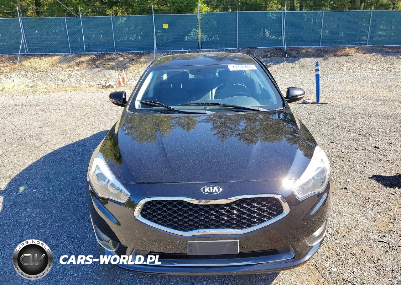 2014 Kia Cadenza Premium VIN:KNALN4D71E5134438 - 5