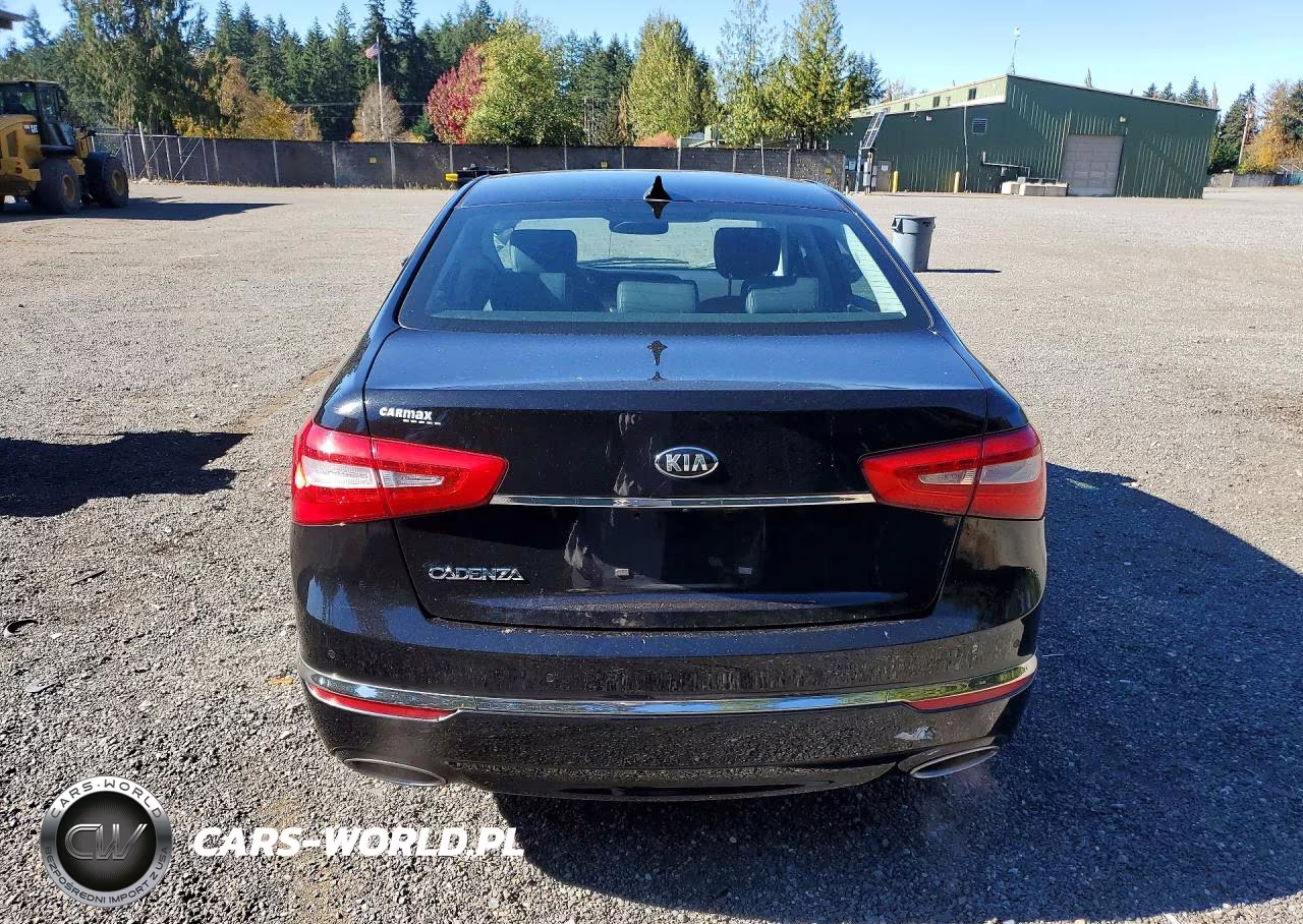 2014 Kia Cadenza Premium VIN:KNALN4D71E5134438 - 6
