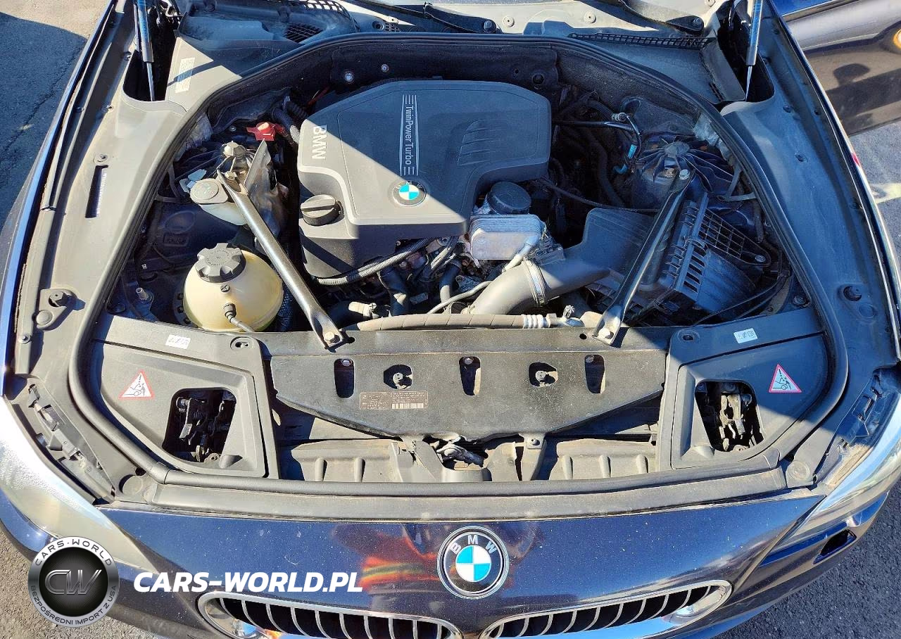 2014 BMW 528 VIN:WBA5A7C59ED619342 - 11