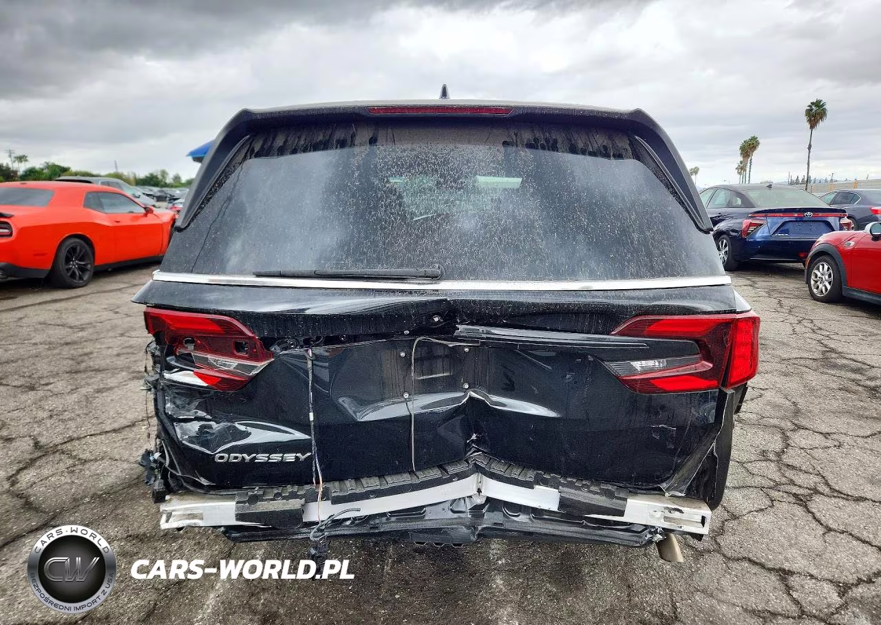 2025 Honda Odyssey Exl VIN:5FNRL6H67SB067953 - 6