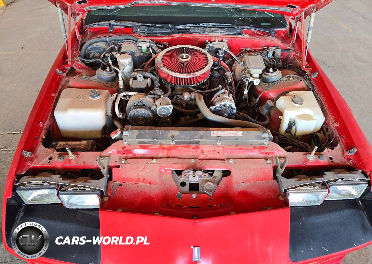 1989 Chevrolet Camaro Iroc-Z VIN:1G1FP21E1KL166100 - 11