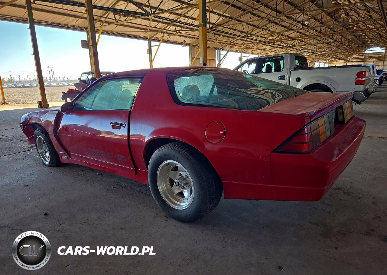 1989 Chevrolet Camaro Iroc-Z VIN:1G1FP21E1KL166100 - 2