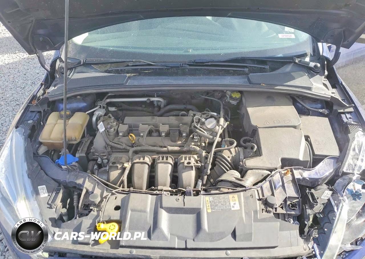 2016 Ford Focus Titanium VIN:1FADP3N25GL374420 - 11