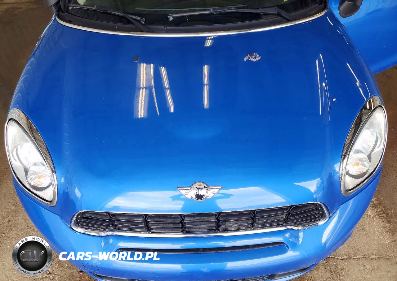 2013 Mini Cooper S Countryman VIN:WMWZC5C50DWP32356 - 11