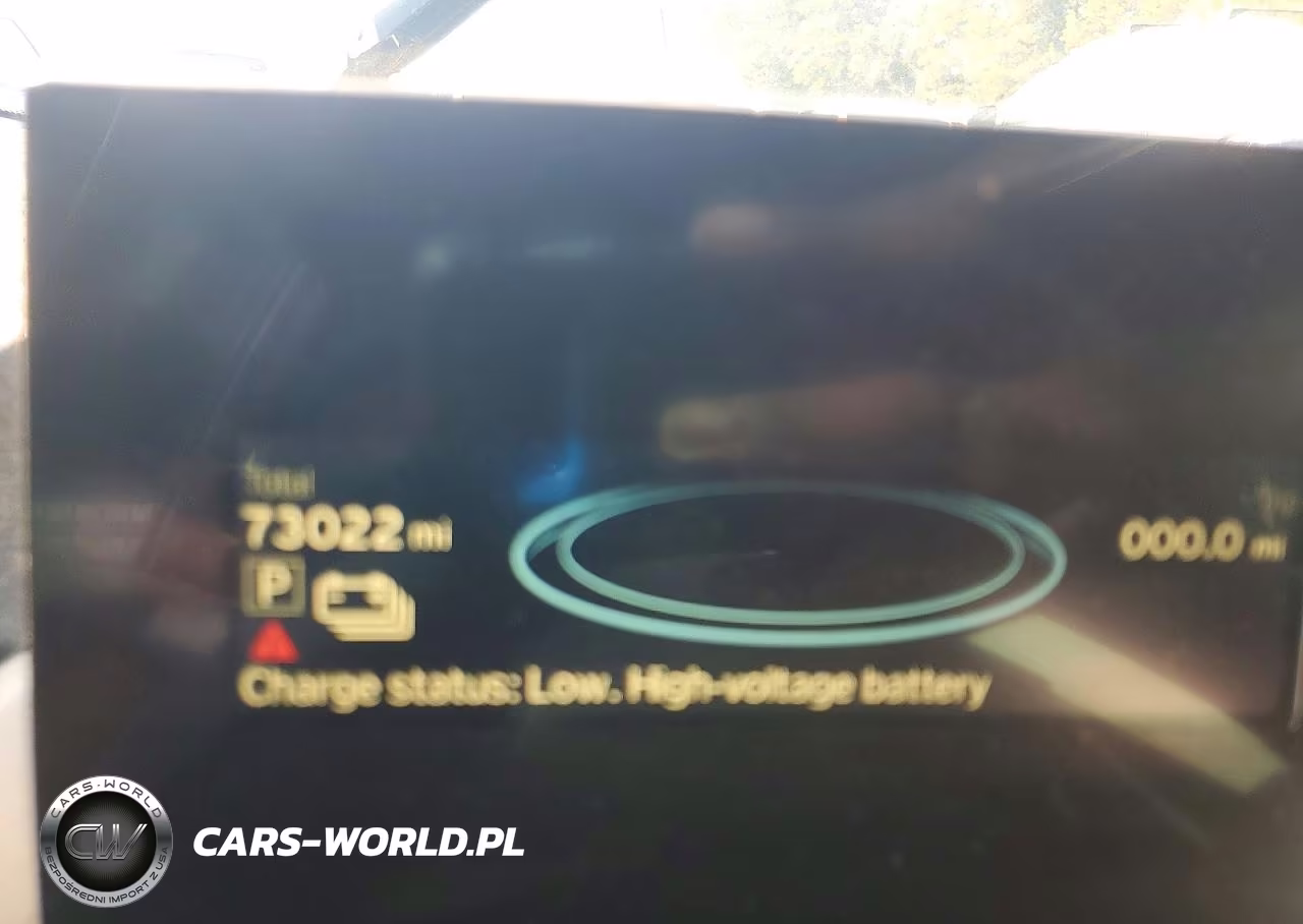 2014 BMW I3 Rex VIN:WBY1Z4C5XEV276865 - 9