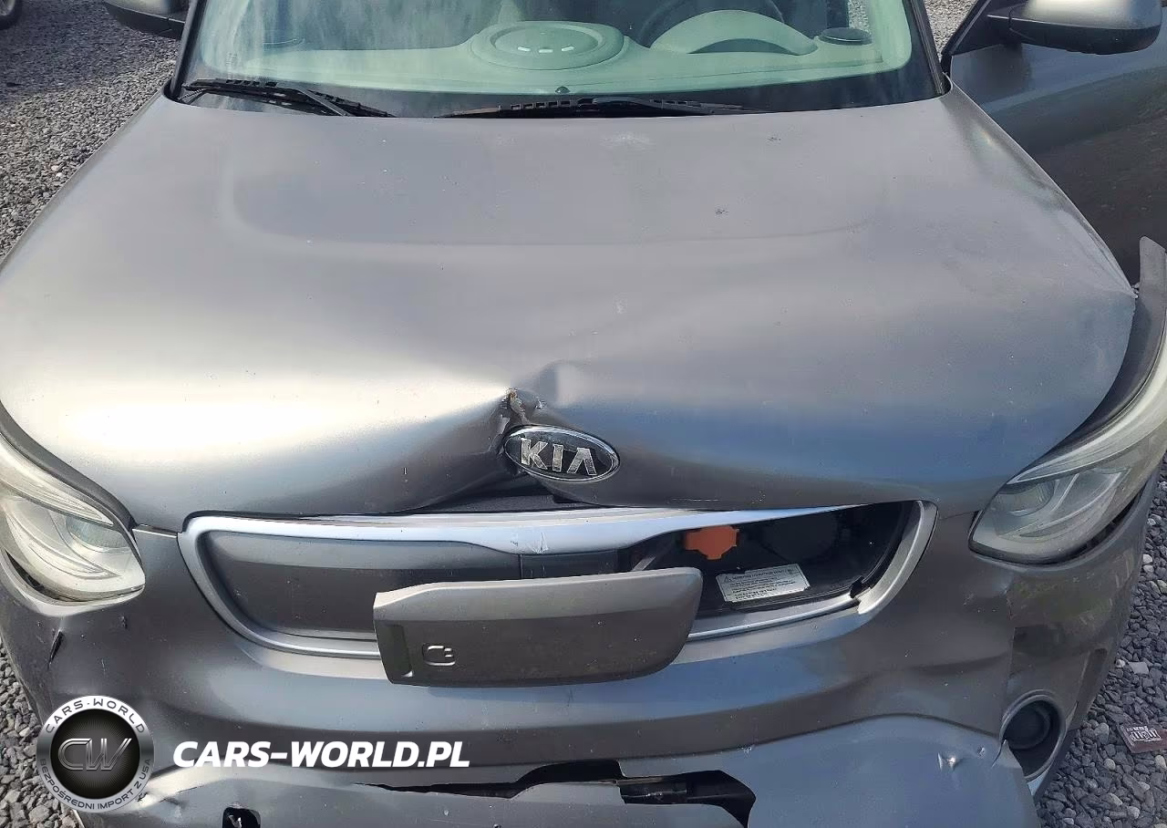2017 Kia Soul Ev Ev-E VIN:KNDJP3AEXH7021775 - 11