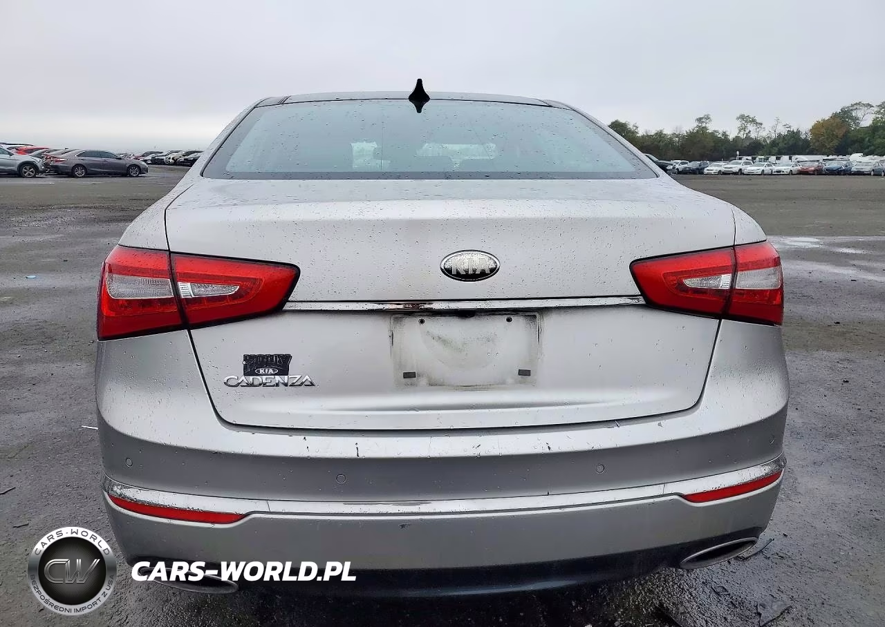 2014 Kia Cadenza Premium VIN:KNALN4D7XE5123311 - 6