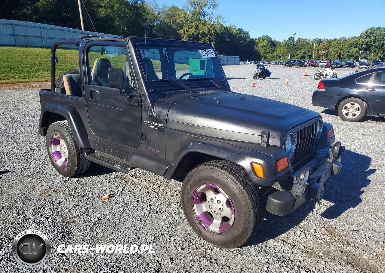 2000 Jeep Wrangler - Tj Sahara VIN:1J4FA59S4YP802394 - 4