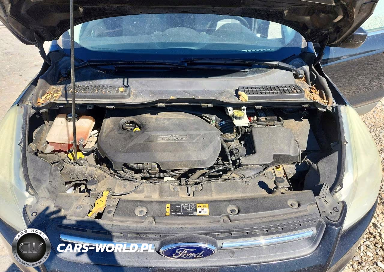 2014 Ford Escape Se VIN:1FMCU0GX1EUD84791 - 12