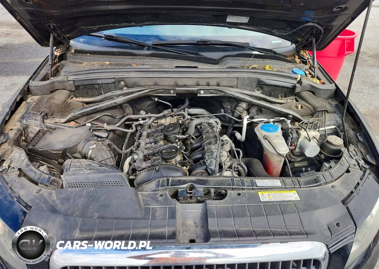 2011 Audi Q5 Premium Plus VIN:WA1LFAFP0BA007561 - 12