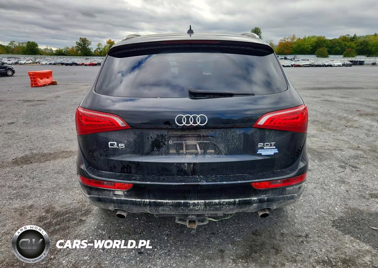 2011 Audi Q5 Premium Plus VIN:WA1LFAFP0BA007561 - 6