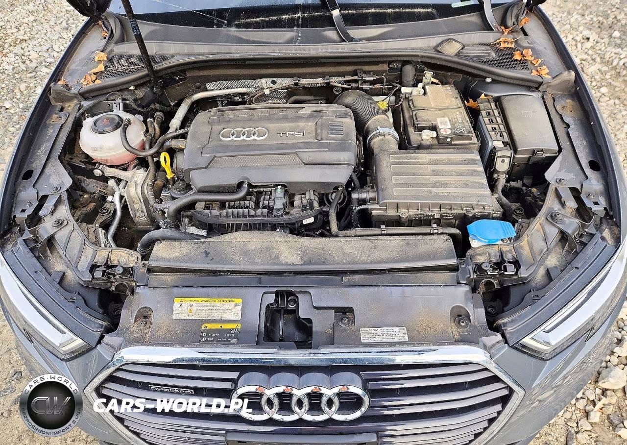 2019 Audi A3 Premium Plus VIN:WAUJEGFF7KA097511 - 11