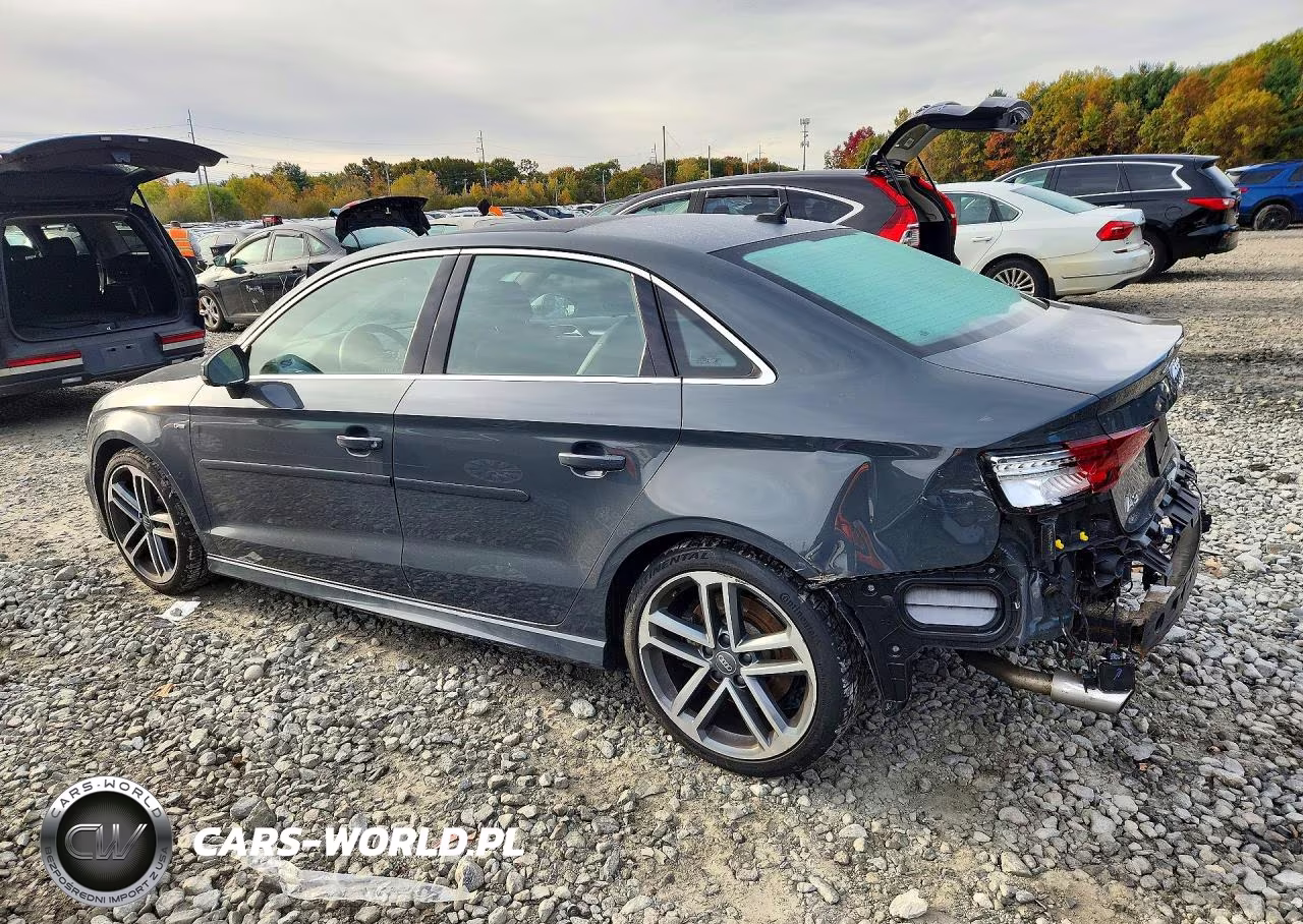 2019 Audi A3 Premium Plus VIN:WAUJEGFF7KA097511 - 2