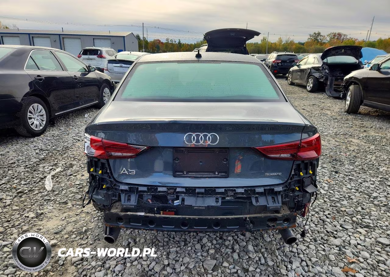 2019 Audi A3 Premium Plus VIN:WAUJEGFF7KA097511 - 6