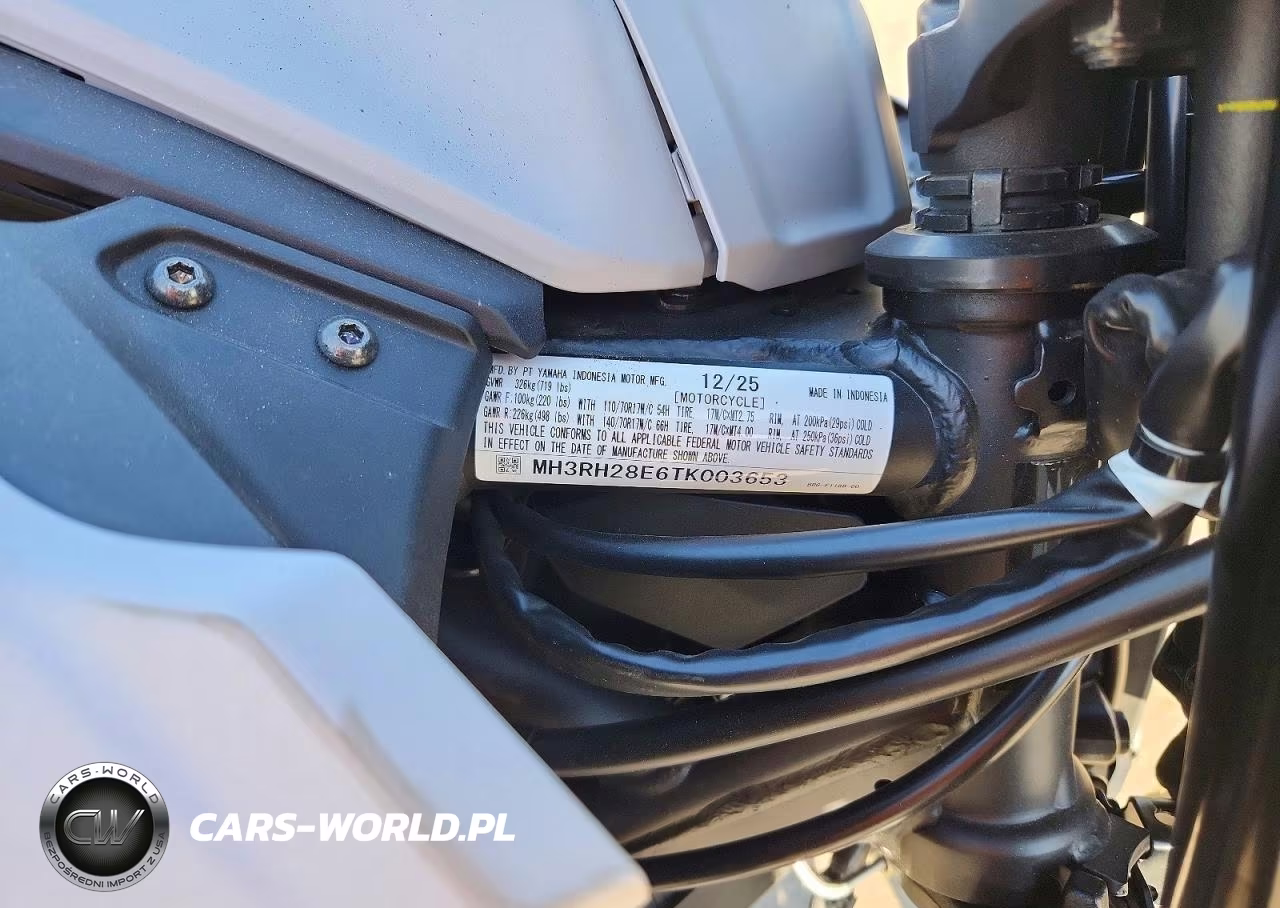2026 Yamaha Mtn320 A VIN:MH3RH28E6TK003653 - 9