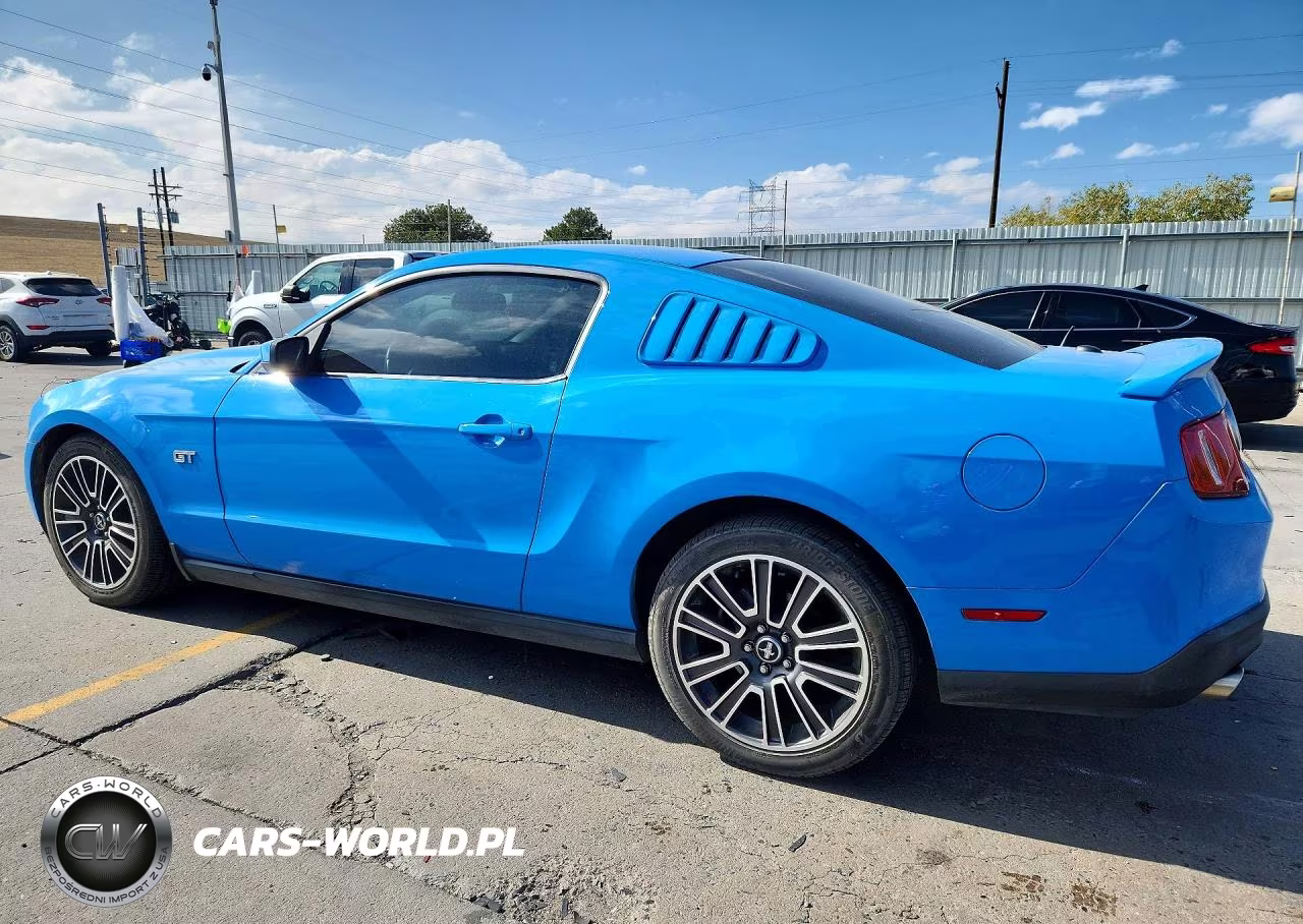 2010 Ford Mustang Gt VIN:1ZVBP8CH3A5112314 - 2