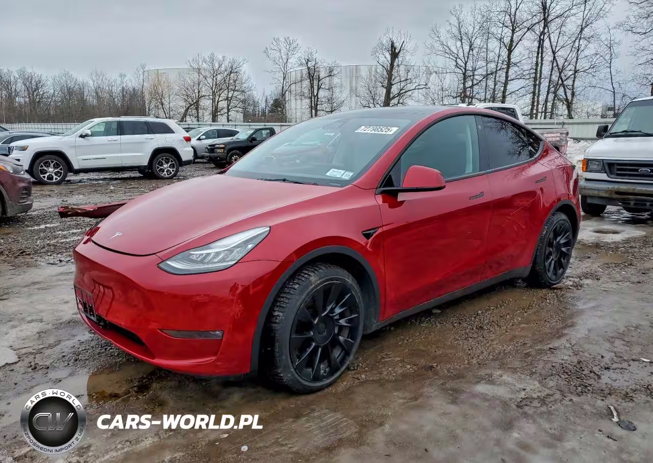 2021 Tesla Model Y