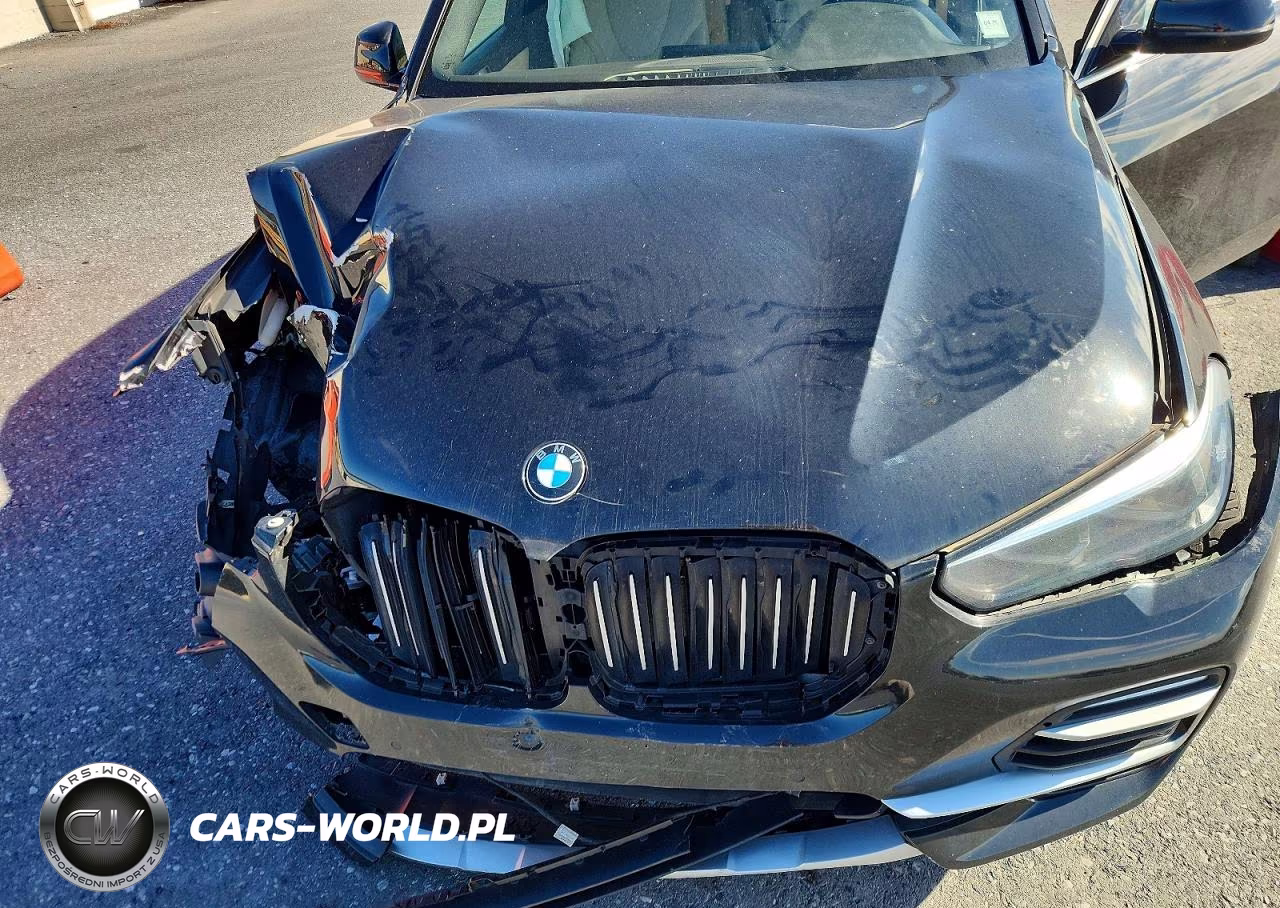 2019 BMW X5 xDrive40I VIN:5UXCR6C5XKLK87585 - 12
