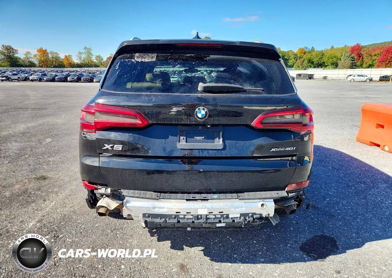 2019 BMW X5 xDrive40I VIN:5UXCR6C5XKLK87585 - 6