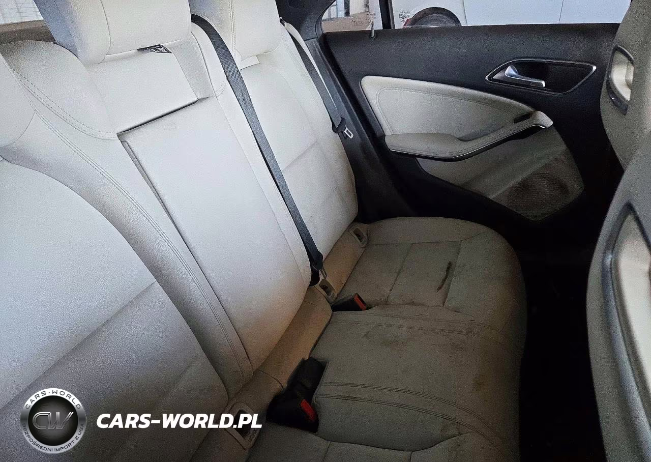 2014 Mercedes-Benz Cla 250 VIN:WDDSJ4EB9EN160420 - 10
