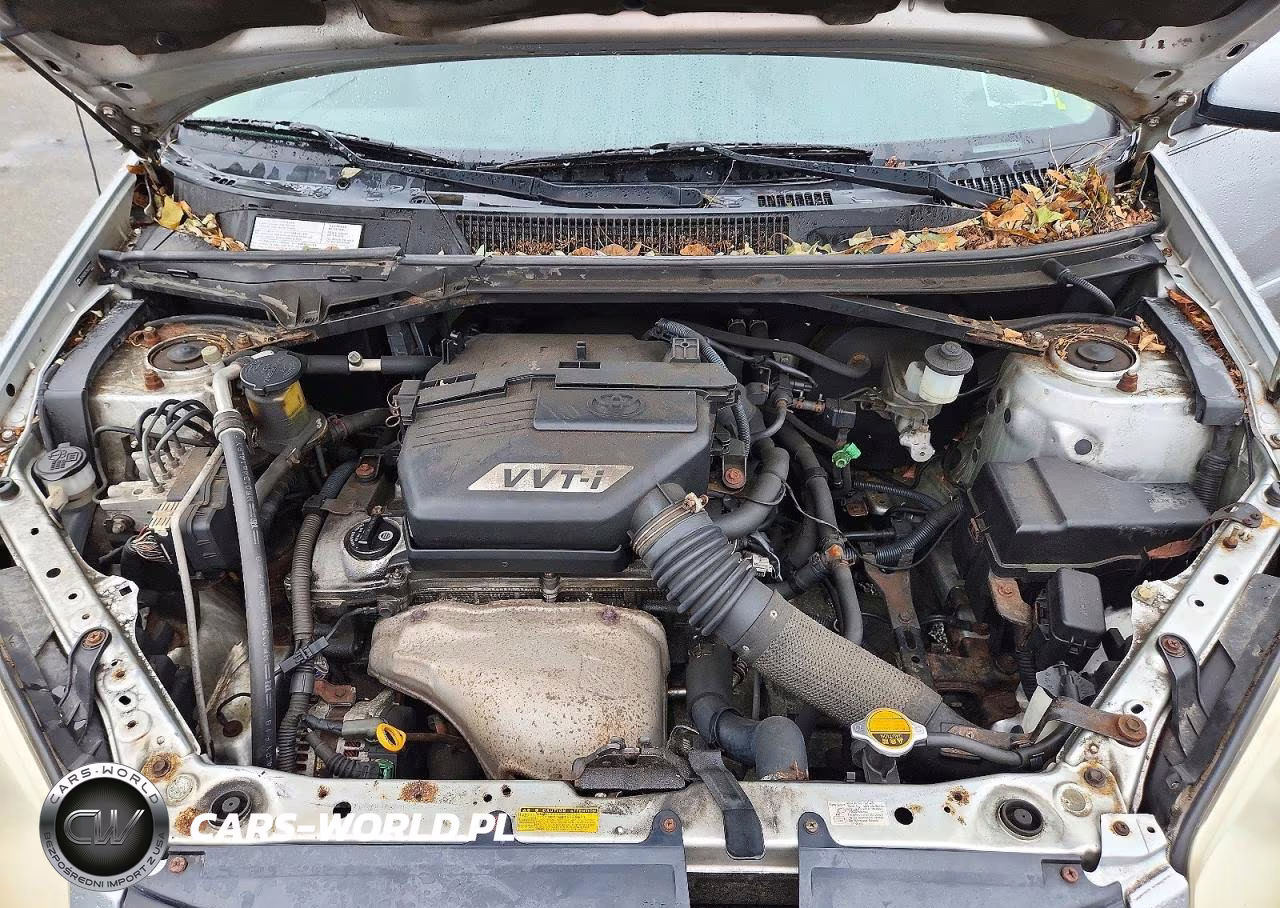 2005 Toyota Rav4 Base VIN:JTEHD20V756023273 - 12