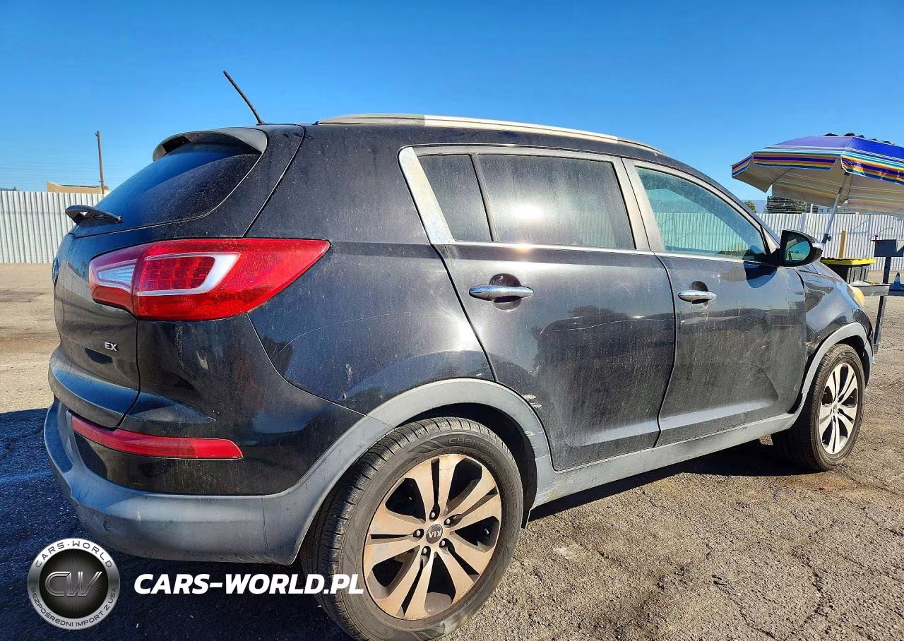 2011 Kia Sportage Ex VIN:KNDPC3A27B7067776 - 3