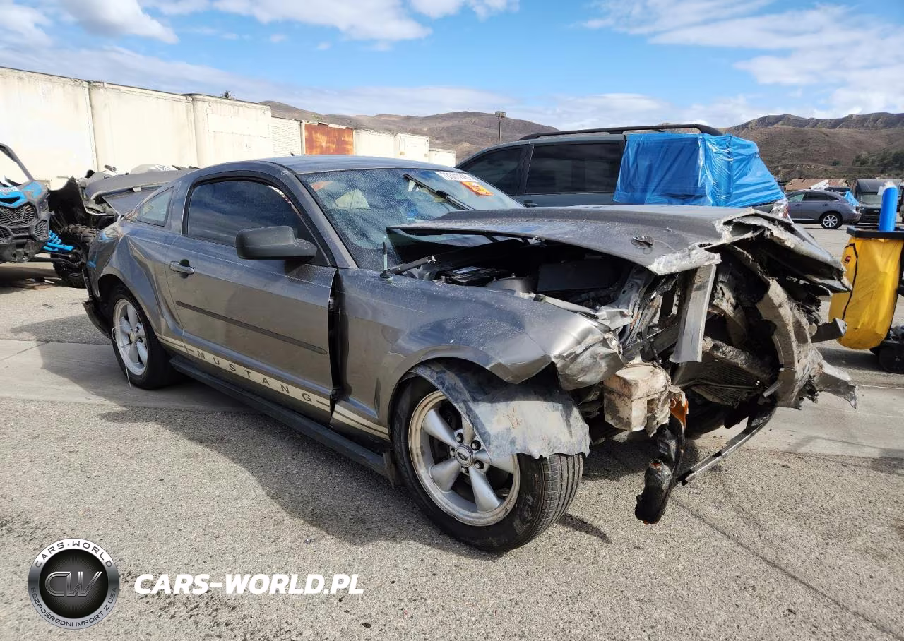2005 Ford Mustang VIN:1ZVFT80N055115426 - 4