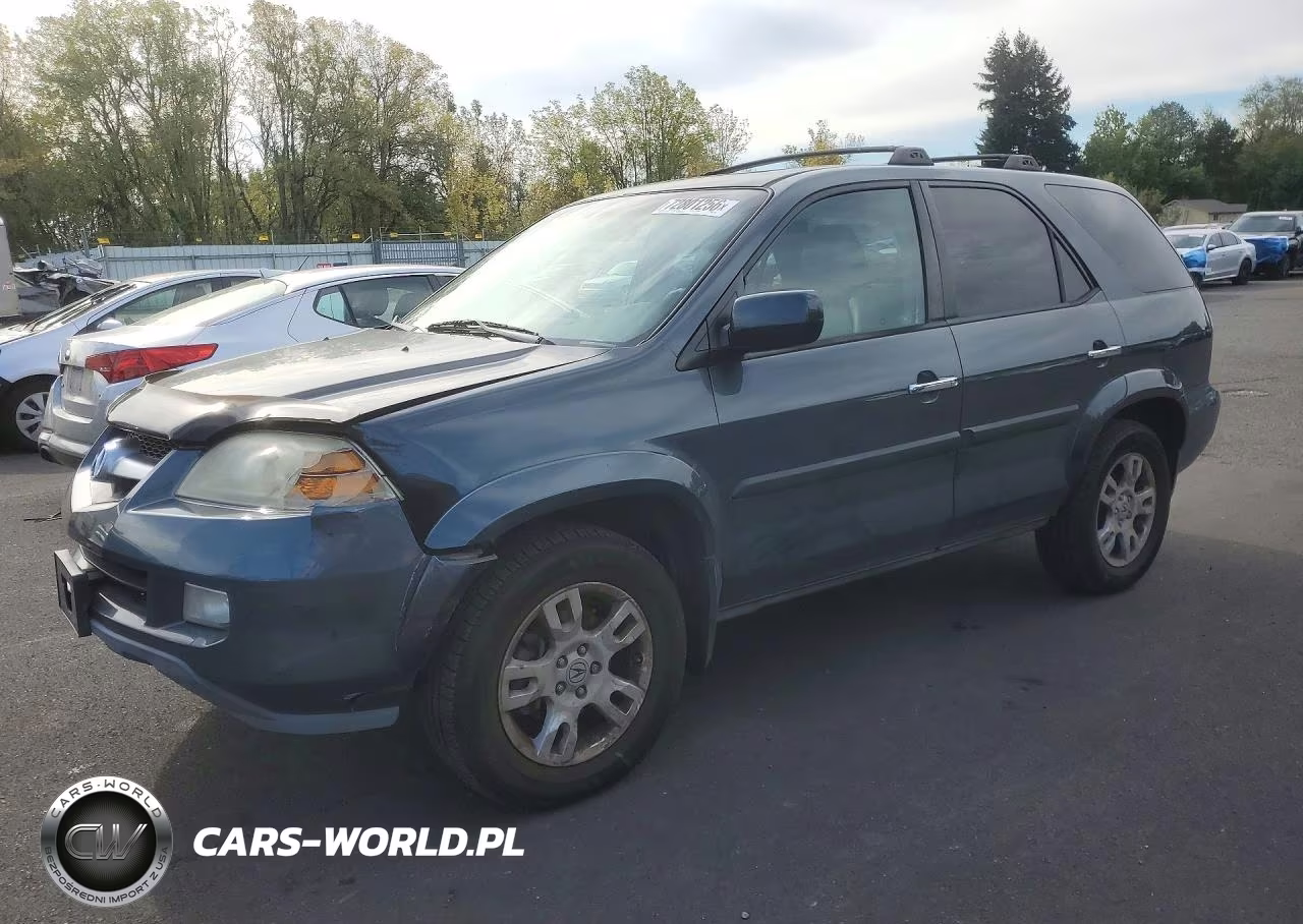 2006 Acura Mdx Touring VIN:2HNYD18866H523397 - 1