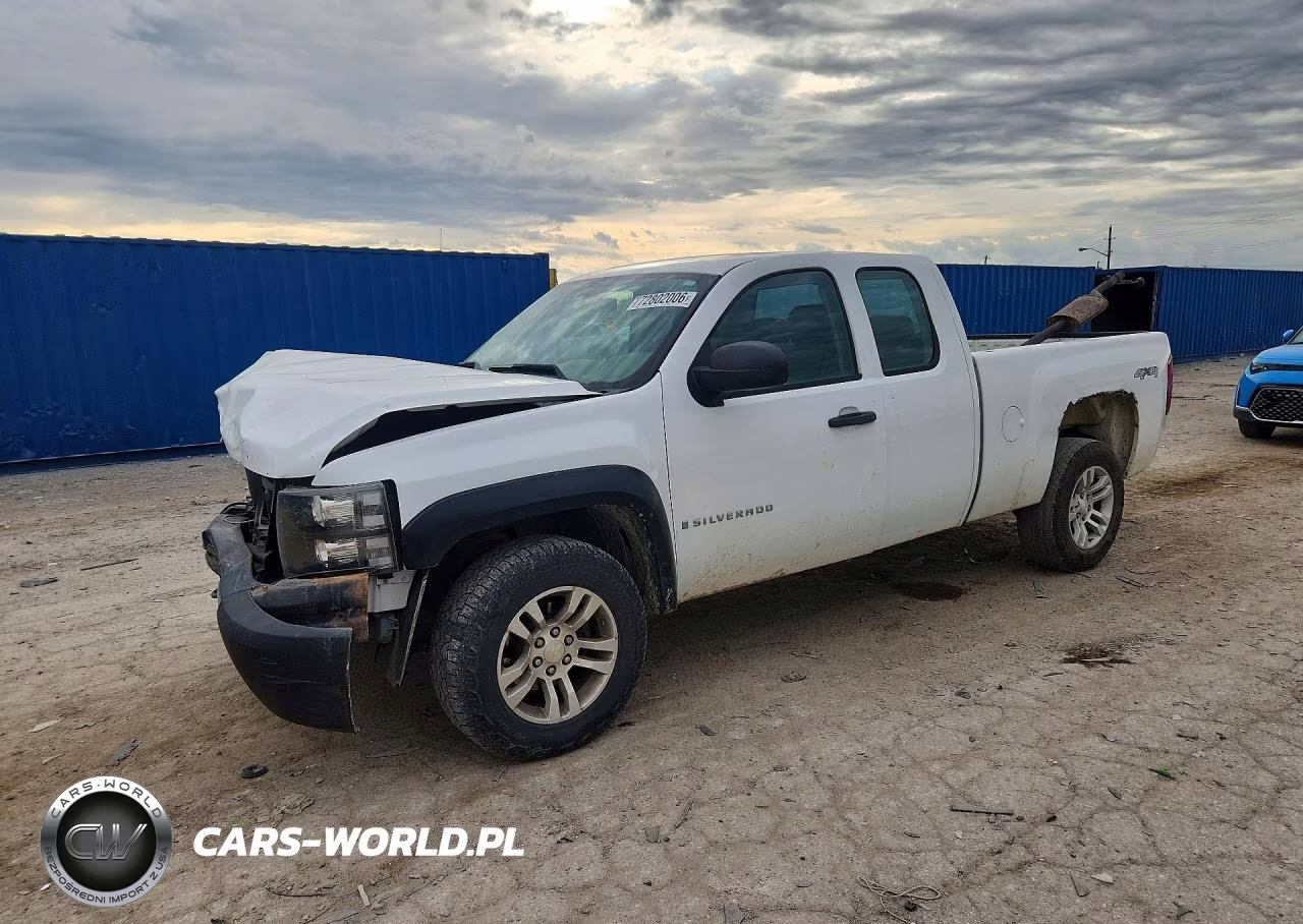 2009 Chevrolet Silverado K1500 VIN:1GCEK19C29Z112360 - 1